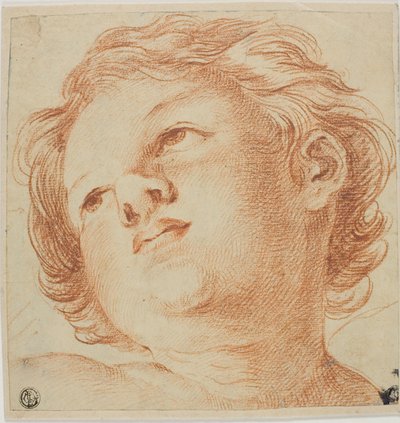 Kopf eines Putto von Guido Reni