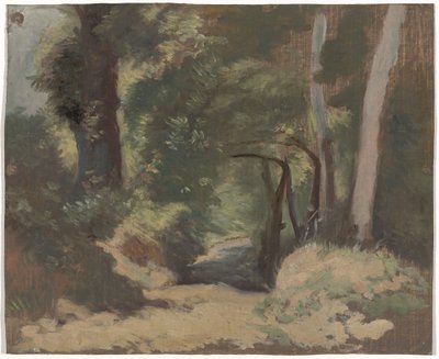 Waldweg von Guillaume Anne van der Brugghen