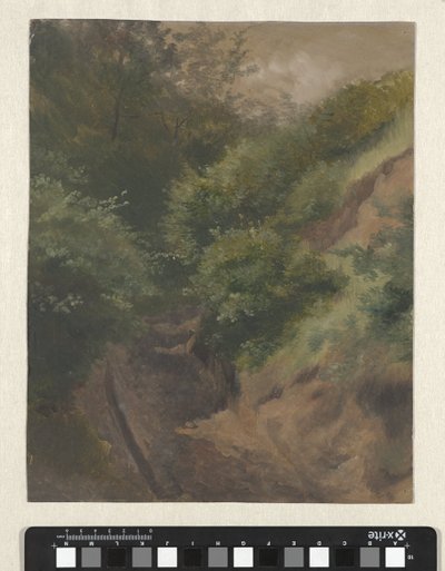 Dünenweg von Guillaume Anne van der Brugghen