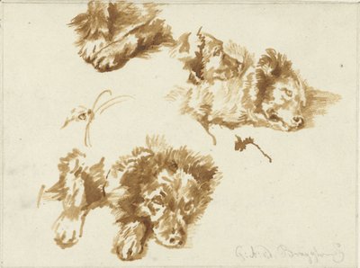 Studien eines Hundes von Guillaume Anne van der Brugghen