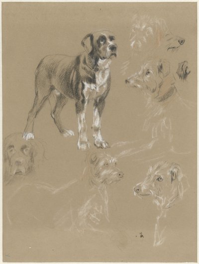 Studien eines Hundes von Guillaume Anne van der Brugghen