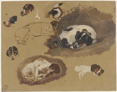 Studien eines Jagdhundes von Guillaume Anne van der Brugghen