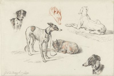 Studien von Hunden von Guillaume Anne van der Brugghen