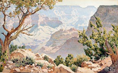 Grand Canyon von Gunnar Widforss