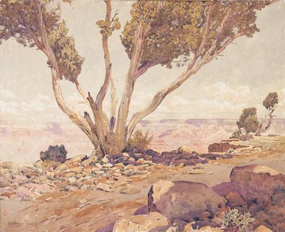 Grand Canyon von Gunnar Widforss