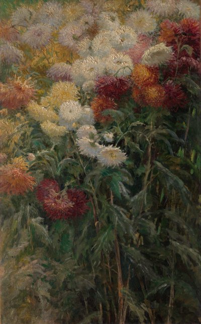 Chrysanthemen im Garten von Petit-Gennevilliers von Gustave Caillebotte
