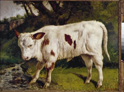 Das Kalb von Gustave Courbet