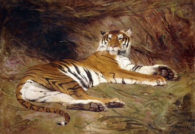 Ein liegender Tiger von Gustave Surand