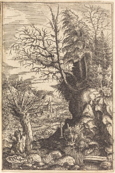 Landschaft mit einer Weide von Hanns Lautensack