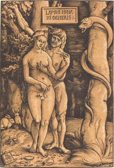 Adam und Eva von Hans Baldung Grien