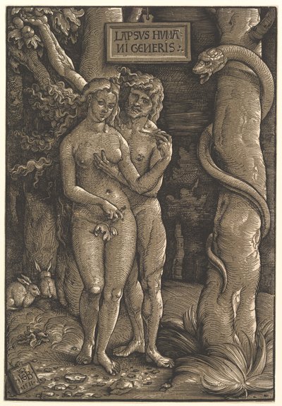 Der Sündenfall, 1511 von Hans Baldung Grien