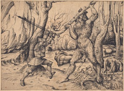 Der Kampf im Wald von Hans Burgkmair I