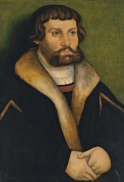 Porträt eines bärtigen Mannes von Hans Cranach