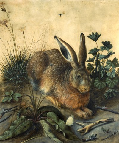 Hase von Hans Hoffmann