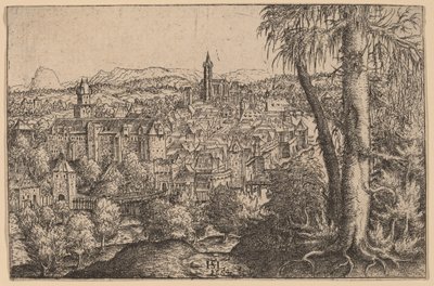 Ansicht von Steyr an der Enns von Hans Sebald Lautensack