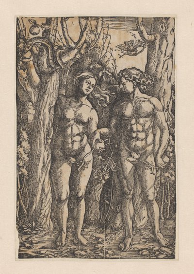 Der Sündenfall von Hans Springinklee