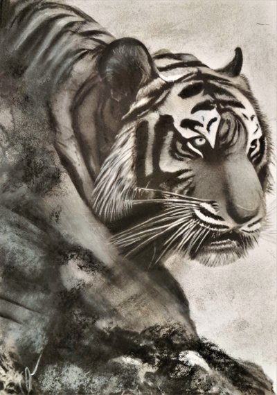 Tiger auf der Jagd von HaskellArt