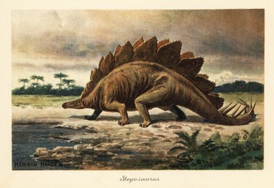 Stegosaurus armatus aus dem späten Jura von Heinrich Harder