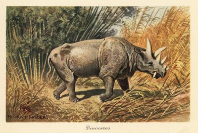 Uintatherium anceps in einer Dschungellichtung von Heinrich Harder