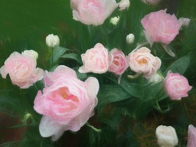 Rosenbett von Helen White