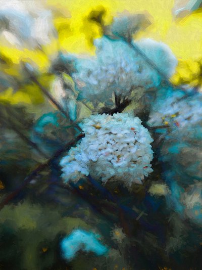 Blühender Mai, 2019 von Helen White