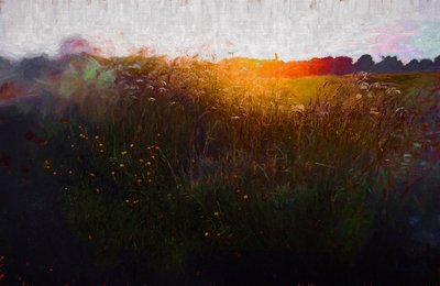 Mittsommerglühen, 2020 von Helen White