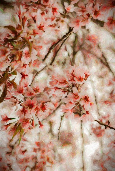 Orientalis von Helen White