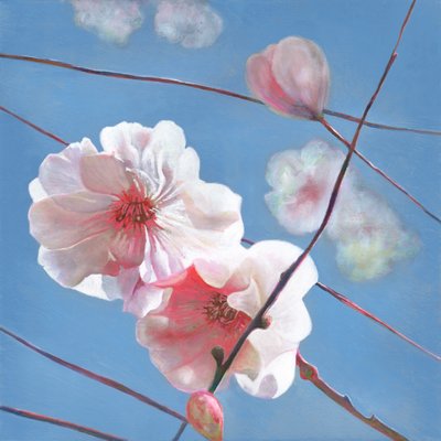 Leuchtender Stern, 2015 von Helen White