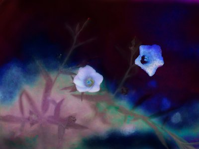 Vergänglichkeit, 2019 von Helen White