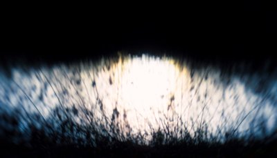 Wassertapete IV, 2017 von Helen White