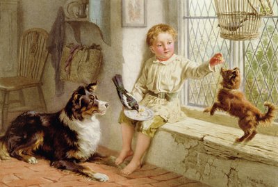 Freunde von Helena J. Maguire
