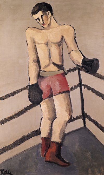 Der große Boxer von Helmut Kolle