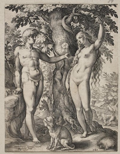 Adam und Eva von Hendrick Goltzius