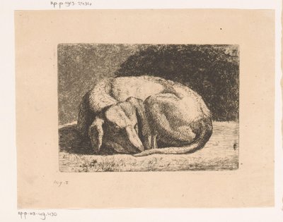 Schlafender Hund von Hendrik Jozef Franciscus van der Poorten
