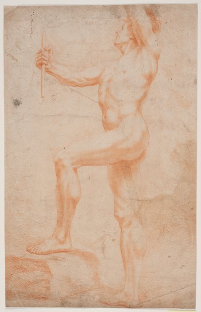 Männliche Modellstudie von Hendrik Krock