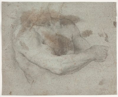 Oberkörper eines männlichen Modells von Hendrik Krock