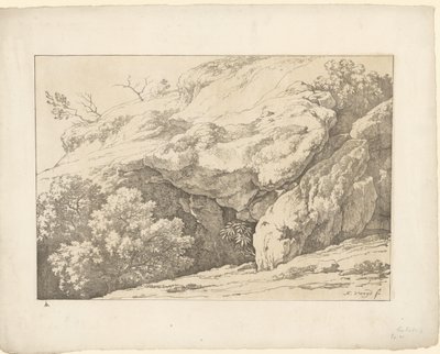 Felsen mit Sträuchern von Hendrik Voogd