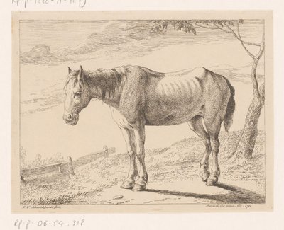 Pferd (Verschiedene Tiere) von Hendrik Willem Schweickhardt