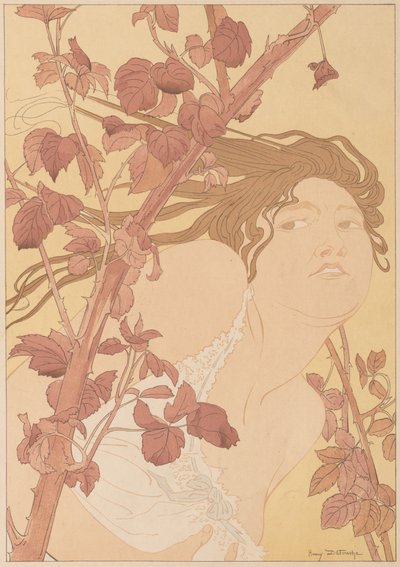 Im Gestrüpp von Henri Detouche