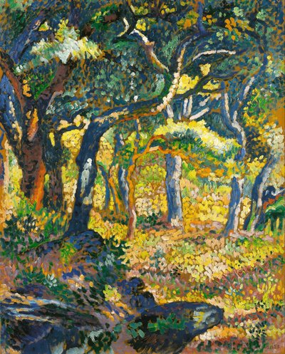 Eine Lichtung in der Provence (Studie) von Henri Edmond Cross