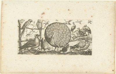Achtzehn Vögel von Henri Le Roy