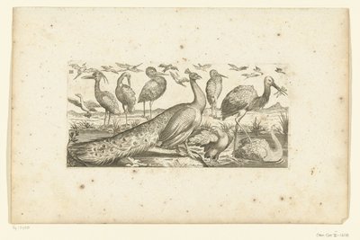 Neunzehn Vögel von Henri Le Roy