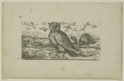 Eule und andere Vögel Vögel (Serientitel) von Henri Le Roy