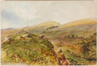 Cockmount Hill von Henry Burdon Richardson