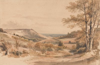 Boxhill von Westhumble Lane von Henry Edridge