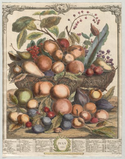 Zwölf Monate der Früchte: Juli von Henry Fletcher