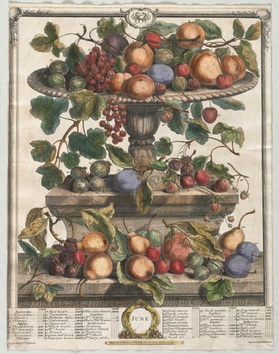 Zwölf Monate der Früchte: Juni von Henry Fletcher