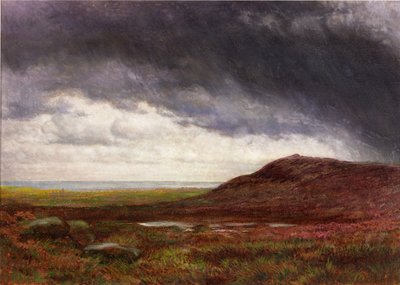 Moorland von Henry Hetherington Emmerson