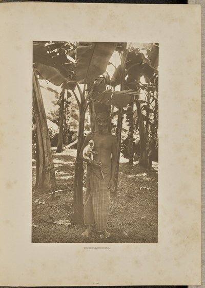 Gefährten von Henry W. Cave