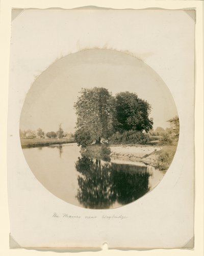 Ohne Titel von Henry White